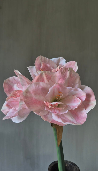 Amaryllis kunstbloem lichtroze real touch - 65 cm