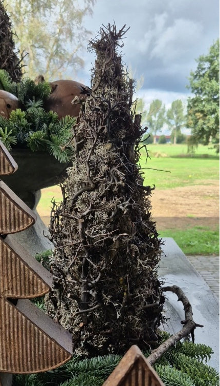 Moos-Bonsai-Bäumchen grau mit Tillandsie - 55 cm