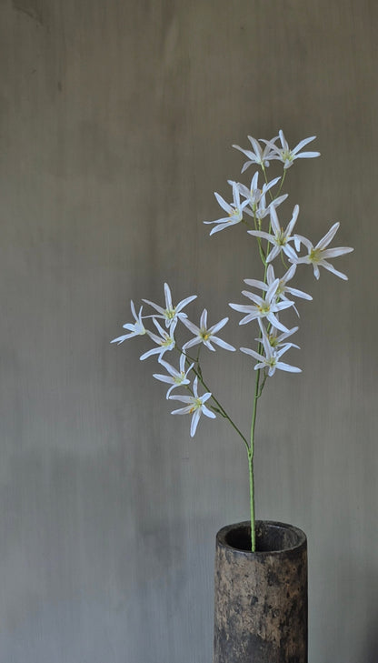 Tweedia kunstbloem wit - 68 cm