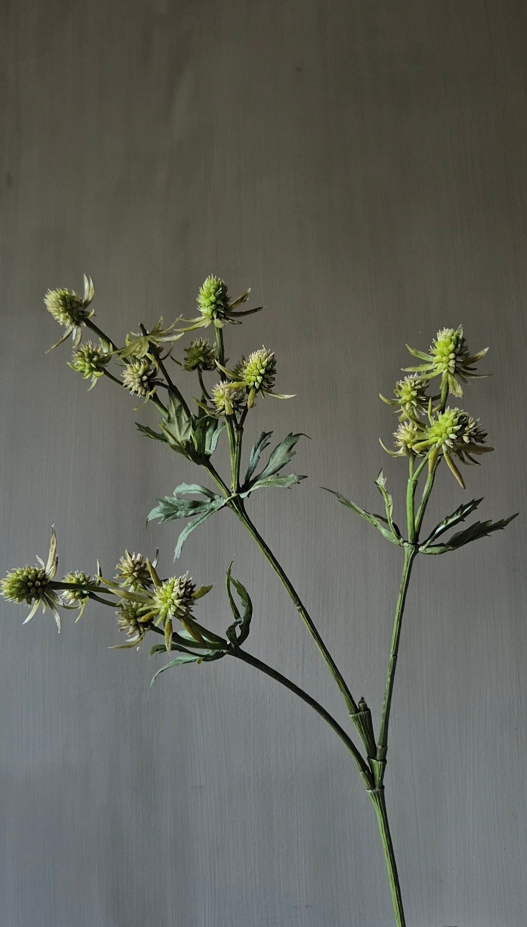 Distel kunsttak groen - 64 cm