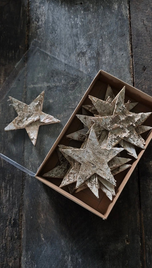 Berkensterretjes naturel met gouden gloed 9 cm – ca. 15 stuks