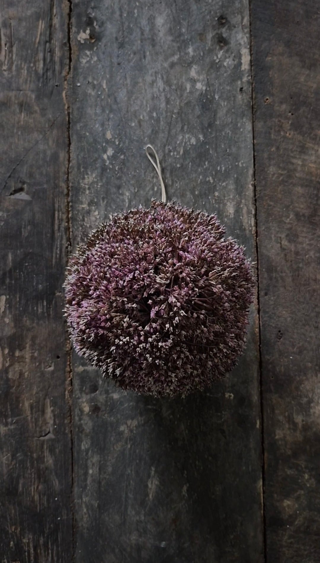 Pre-order Kunstbol eupatorium paars 11 cm