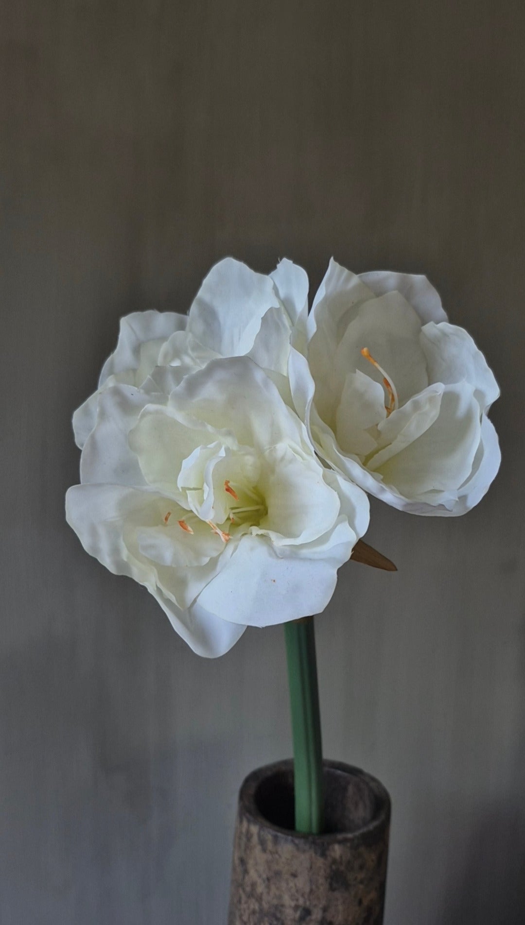 Amaryllis kunstbloem wit real touch - 65 cm