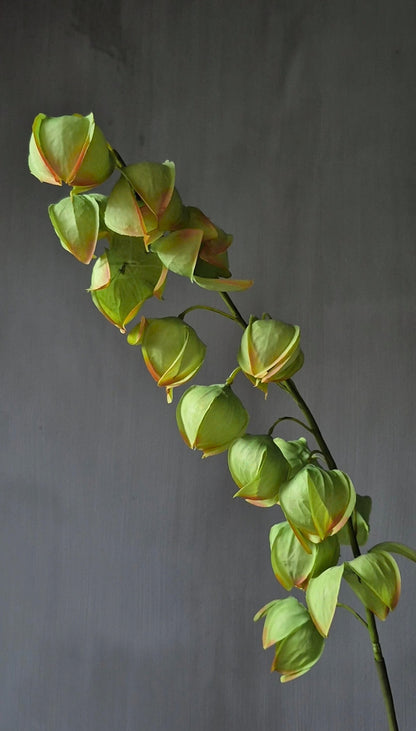 Physalis kunstbloem lichtgroen - 82 cm