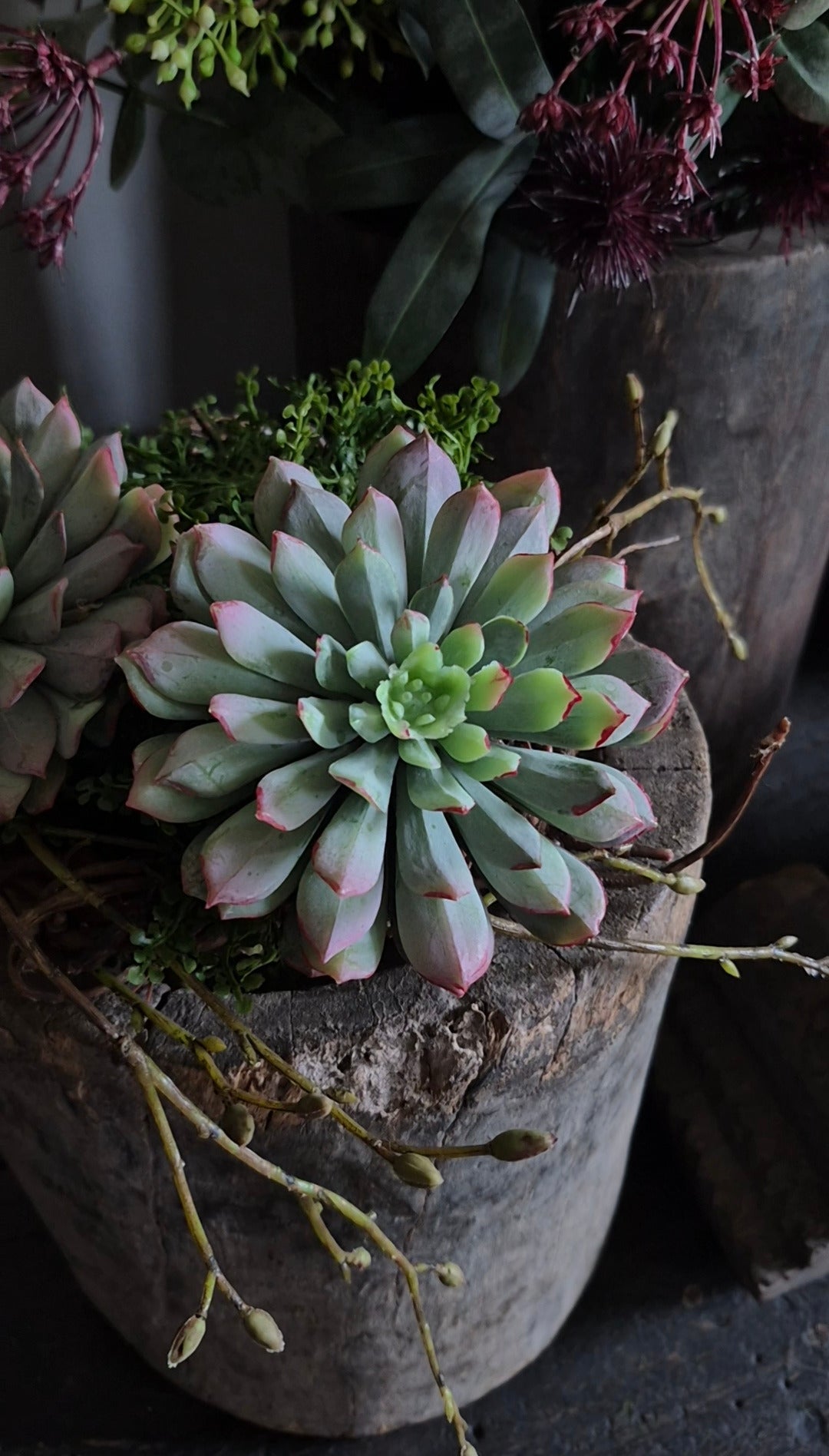 Kunst vetplant echeveria groen oranje - 10 cm