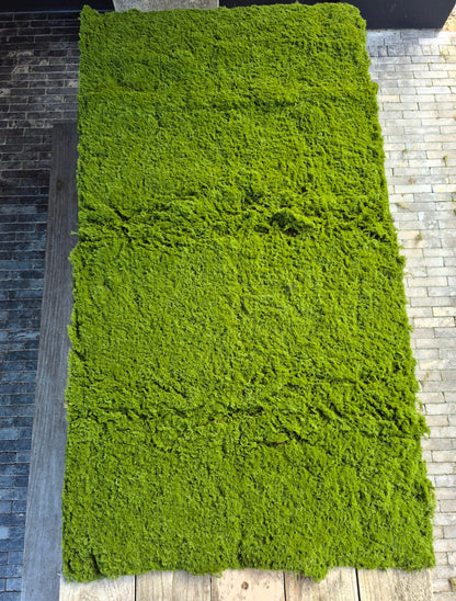 Kunstmos mat groen 200 x 100 cm – op maat te knippen