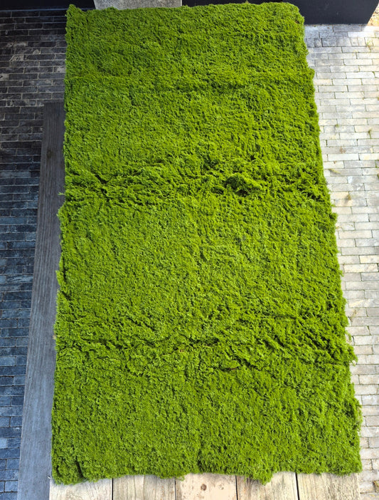 Kunstmos mat groen 200 x 100 cm – op maat te knippen