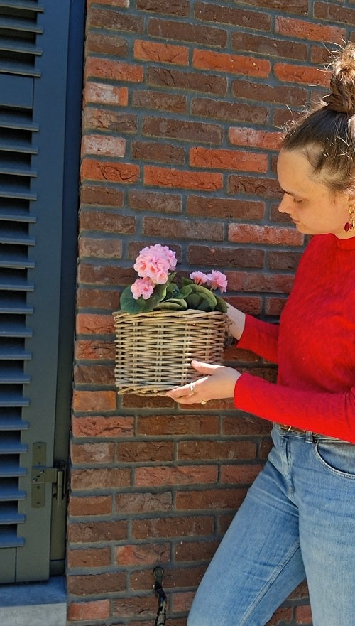 Rotan hangmand hengsel naturel voor muur of tafel