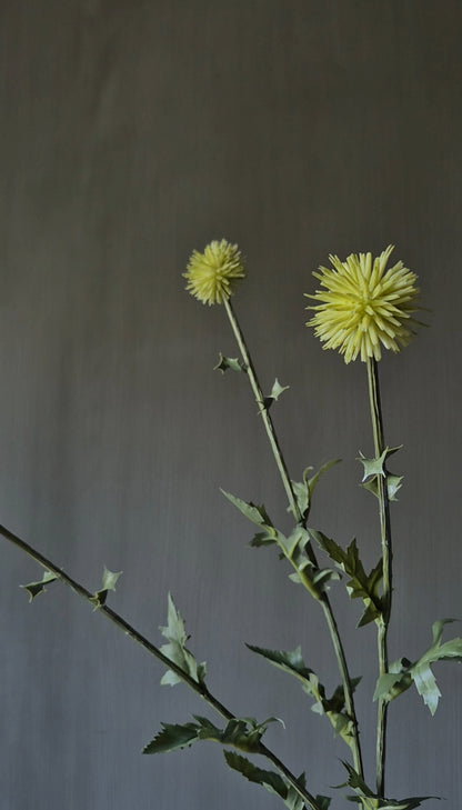 Kogeldistel kunsttak lime - 75 cm
