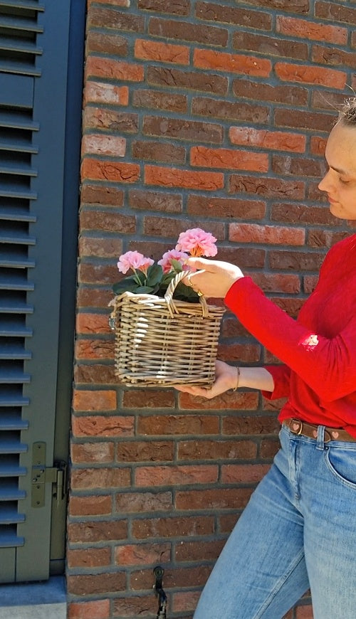 Rotan hangmand hengsel naturel voor muur of tafel