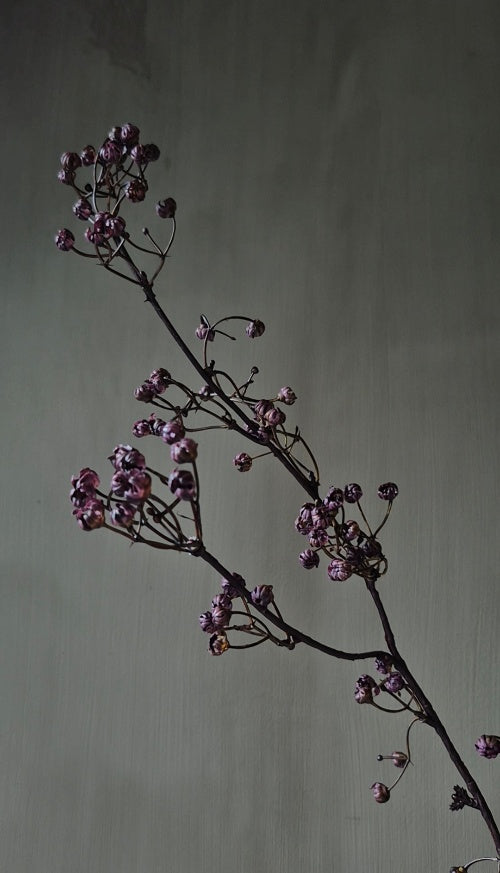 Gipskruid kunsttak bordeaux paars - 78 cm
