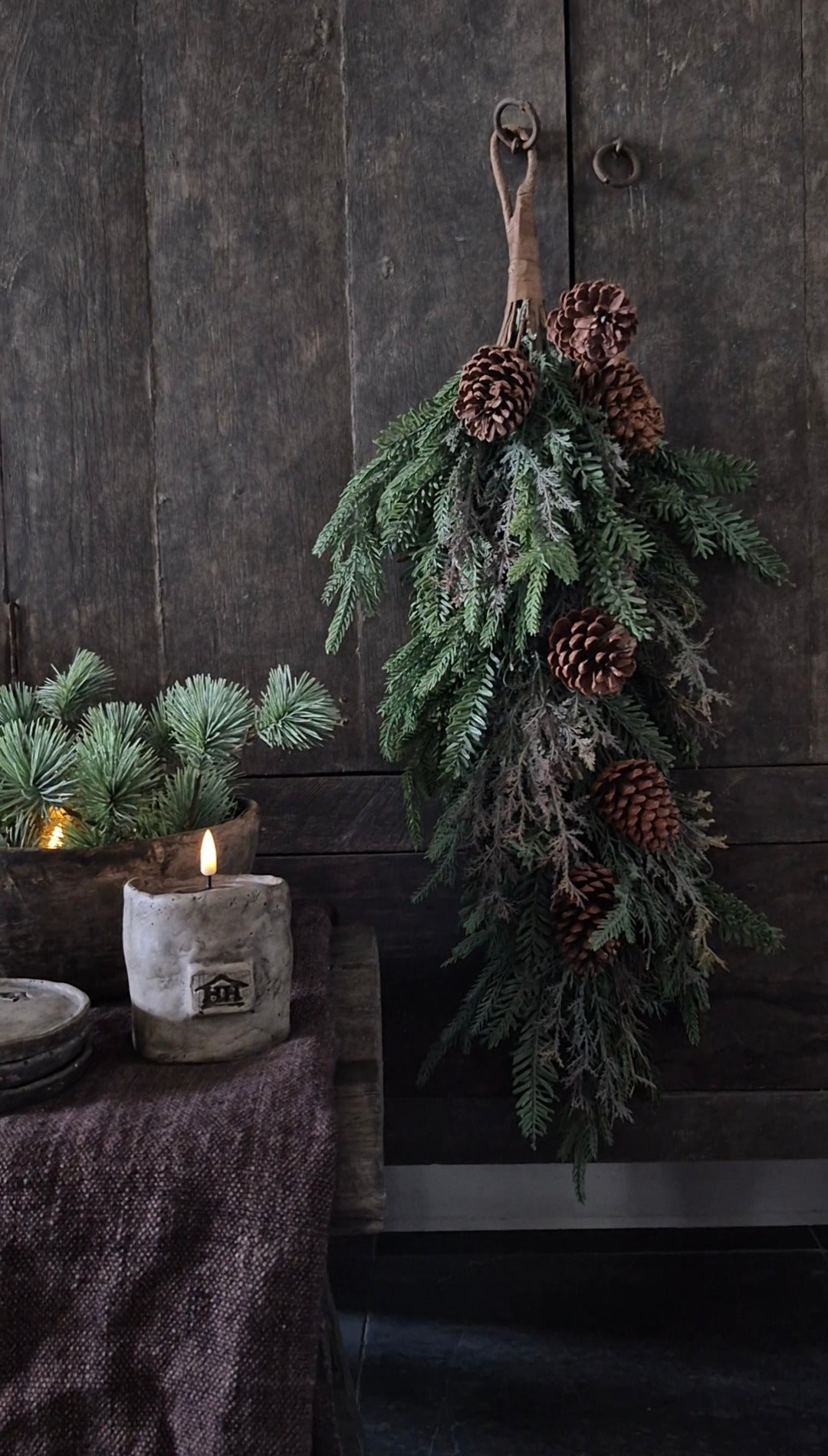 Cedar tuft mixed