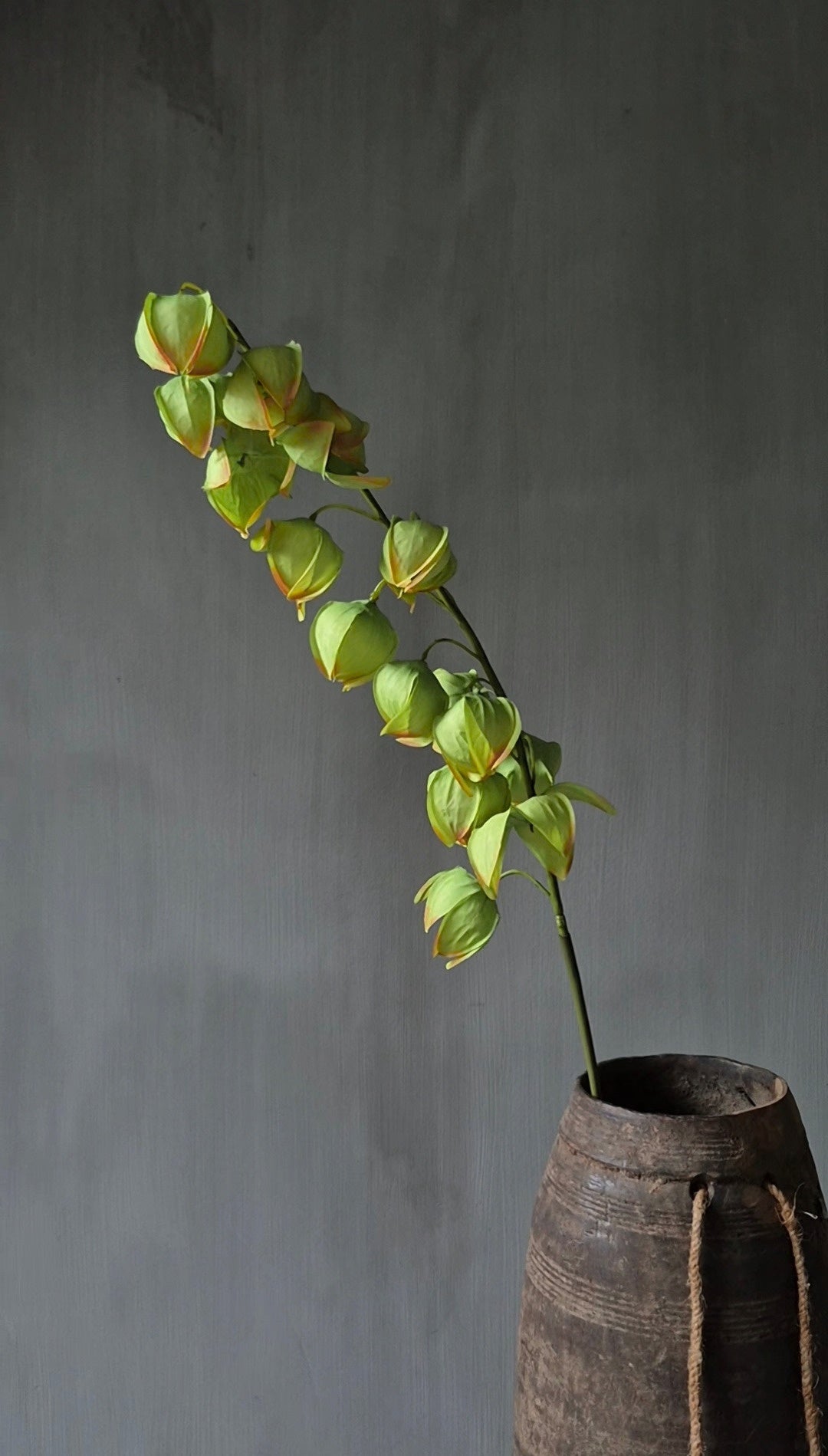 Physalis kunstbloem lichtgroen - 82 cm