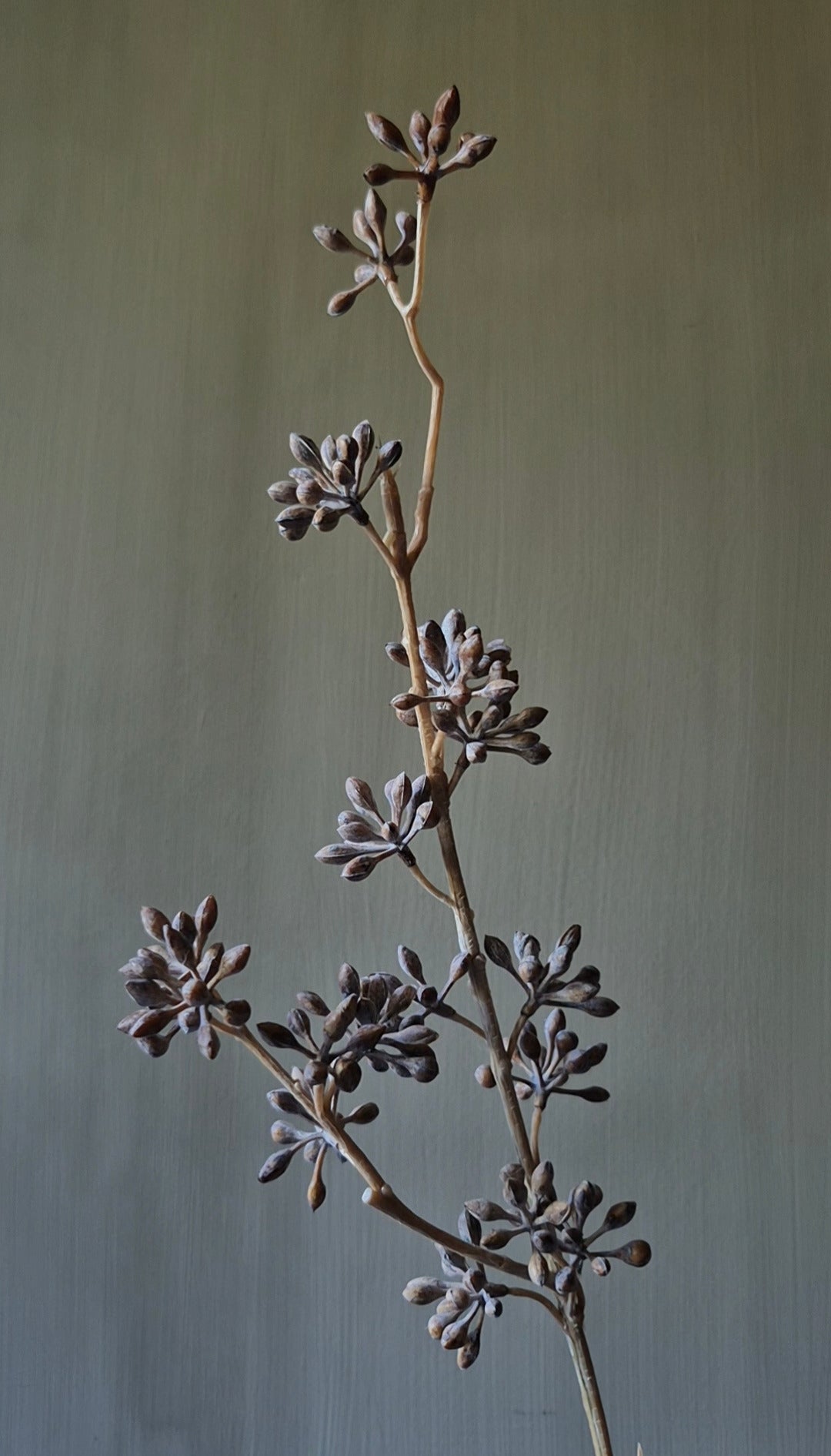 Eucalyptusvrucht kunsttak lichtbruin - 58 cm