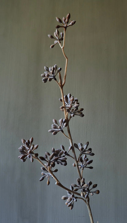 Eucalyptusvrucht kunsttak lichtbruin - 58 cm