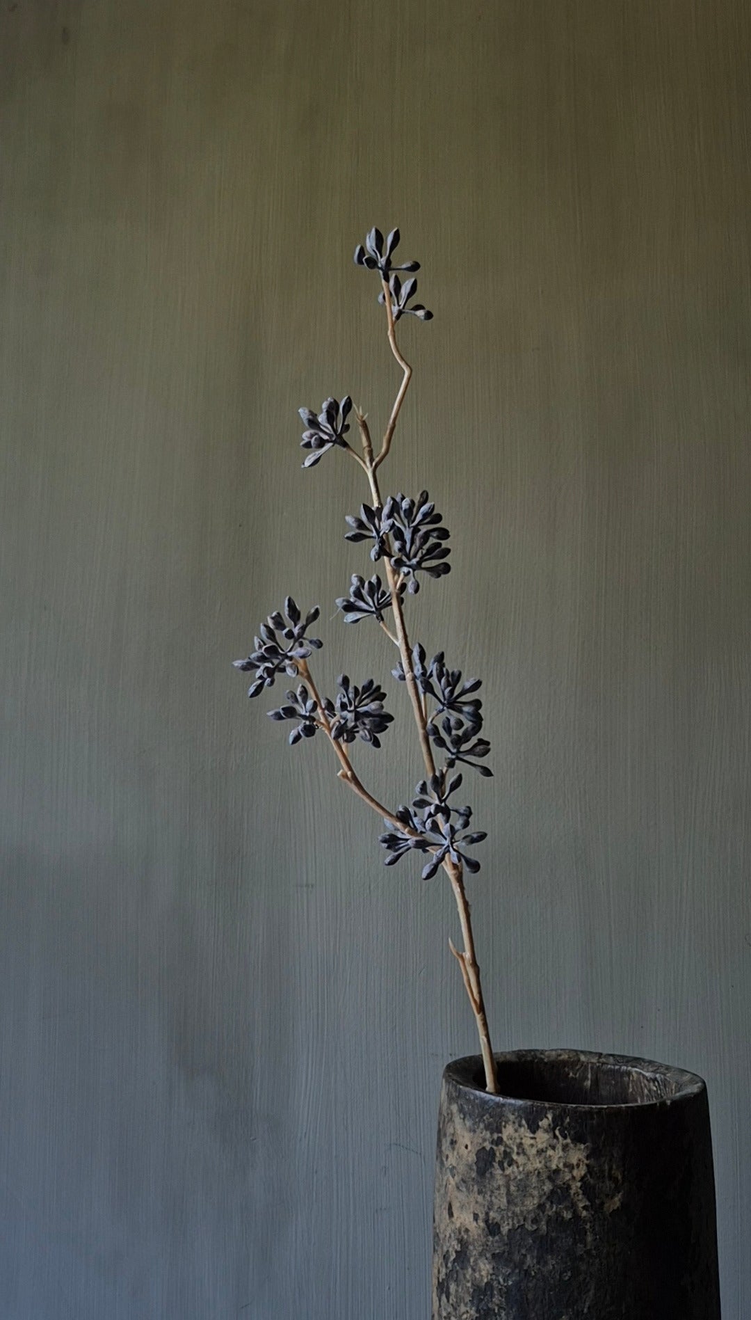 Eucalyptusvrucht kunsttak donkerbruin - 58 cm