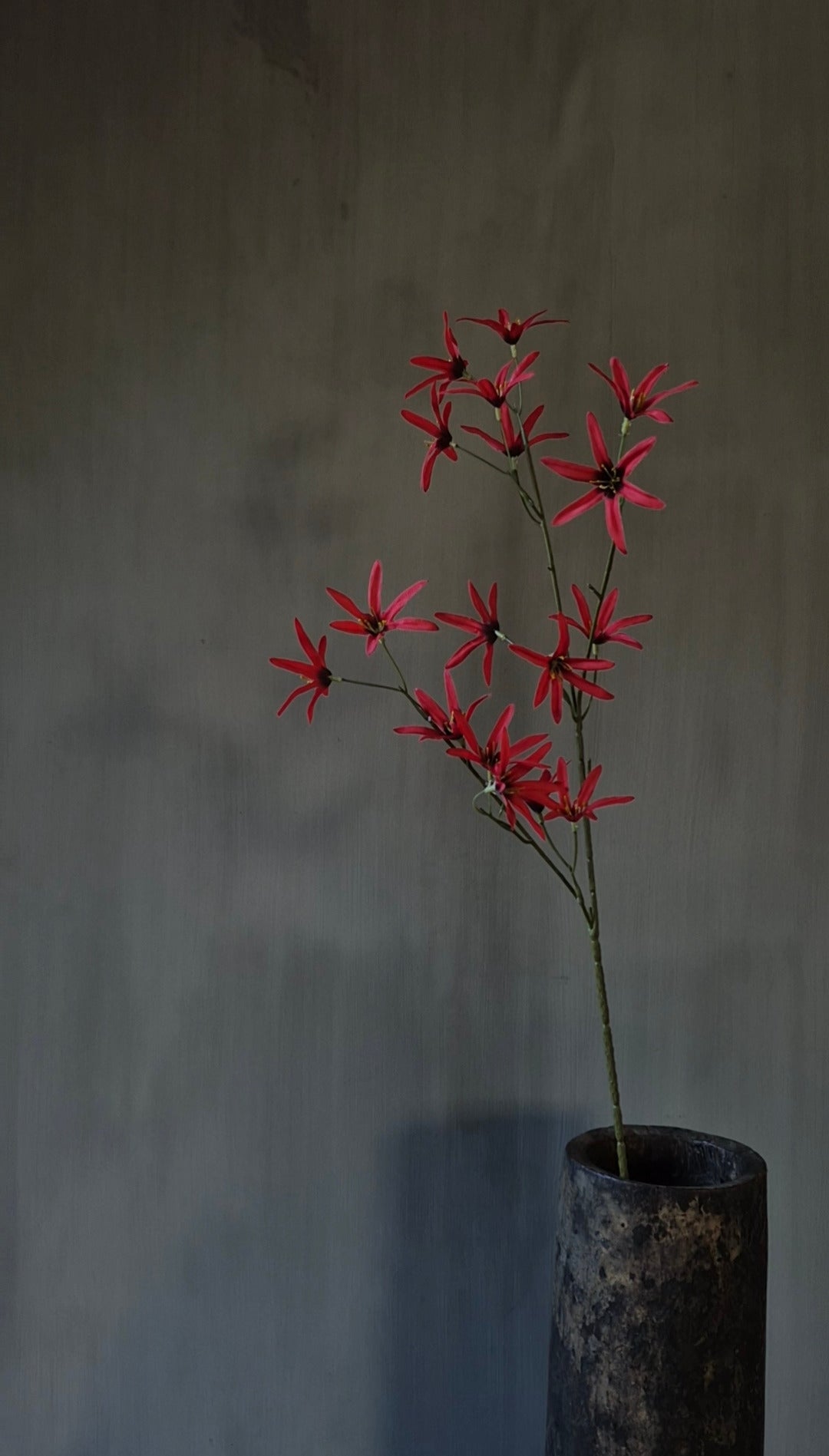 Tweedia kunstbloem fuchsia - 68 cm