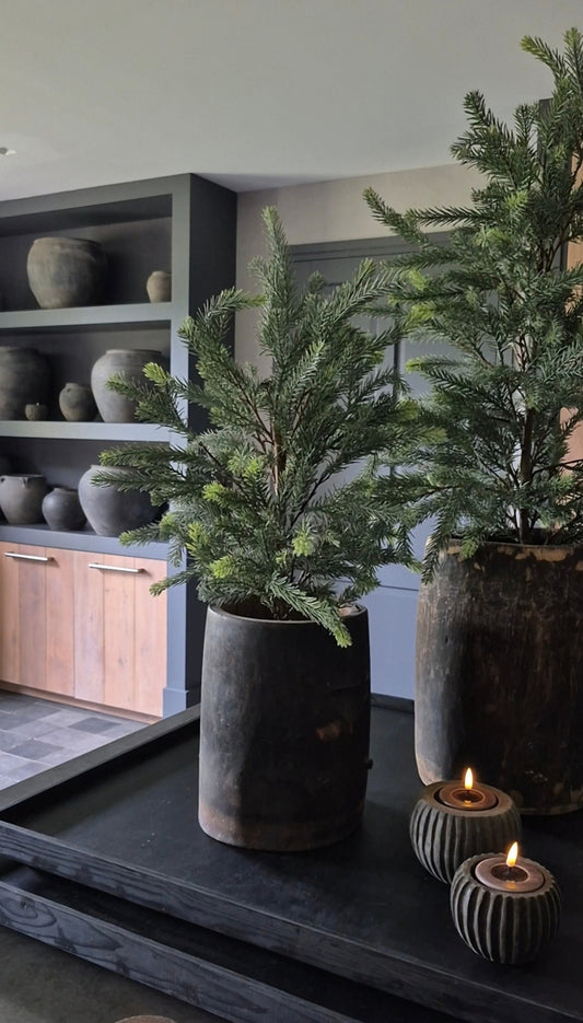 Blauwspar kerstboom in binnenpot real touch - 70 cm