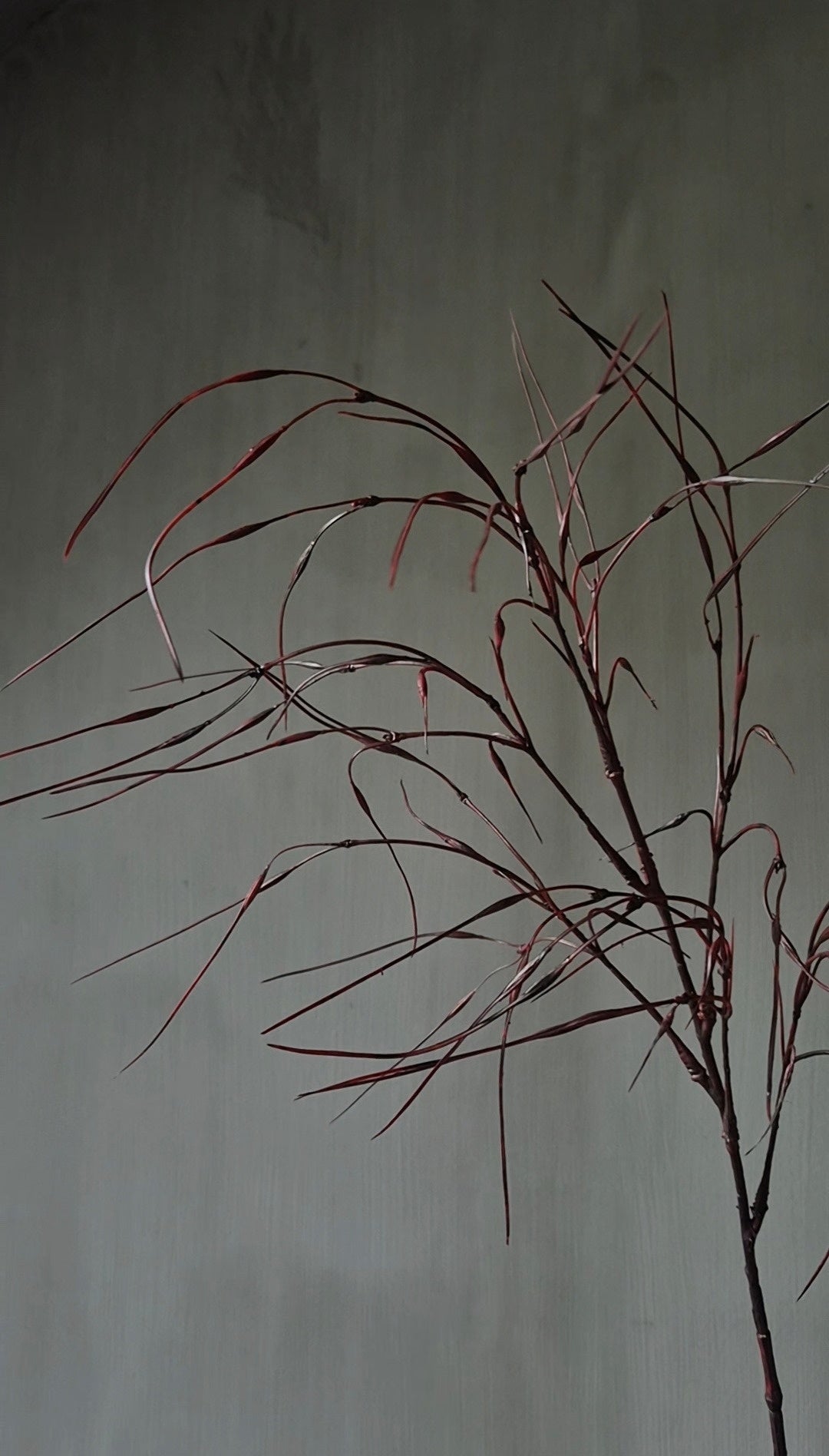 Ziergras Kunstzweig bordeauxrot - 78 cm