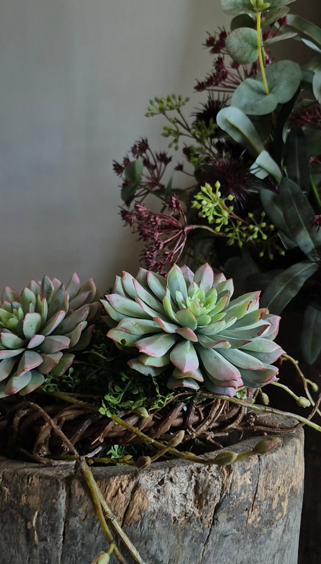 Kunst vetplant echeveria groen bordeauxrood - 10 cm