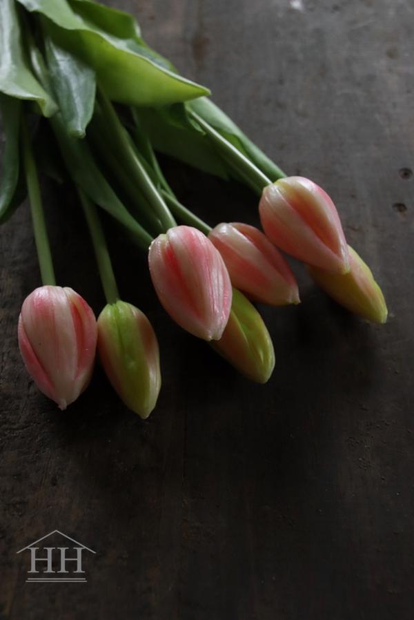 Bos tulpen in knop roze