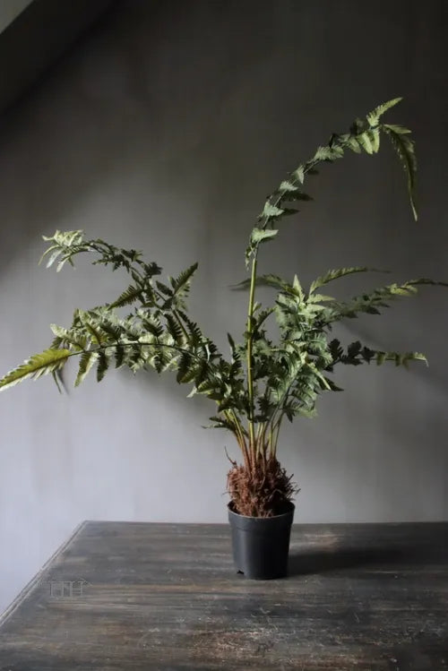 Varen kunstplant in binnenpot 90cm