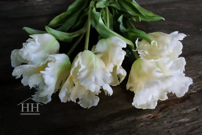 Kunst tulpen wit – papegaai tulpen – 52cm – 6 stelen