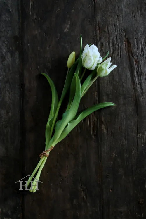 Kunst tulpen wit papegaai – 40cm – 3 stelen