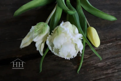 Kunst tulpen wit papegaai – 40cm – 3 stelen