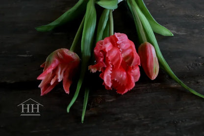 Kunst tulpen fel roze – papegaai tulpen – 40cm – 3 stelen