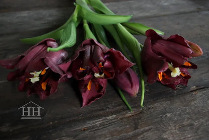 Kunst tulpen bordeaux paars – papegaai tulpen – 40cm – 5 stelen