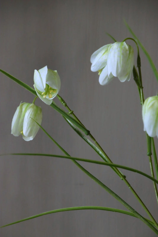 Künstliche Kiebitzblume weiß/grün 52 cm