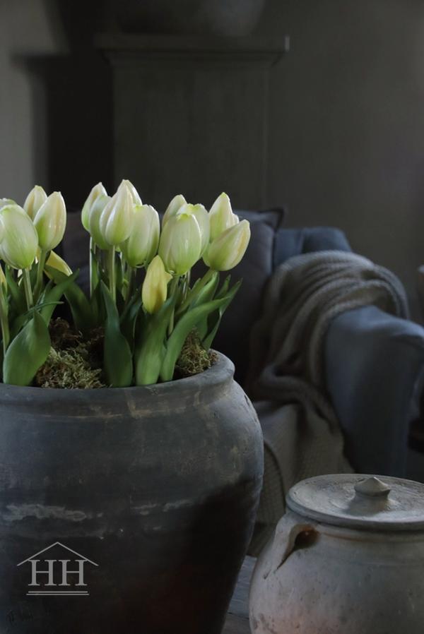 Artificial tulips in white pot