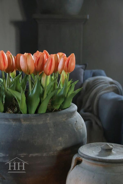 Zalm kunst tulpen in pot | Hillary'sHome