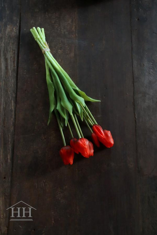 Lange rode tulpen kunst | Hillary'sHome