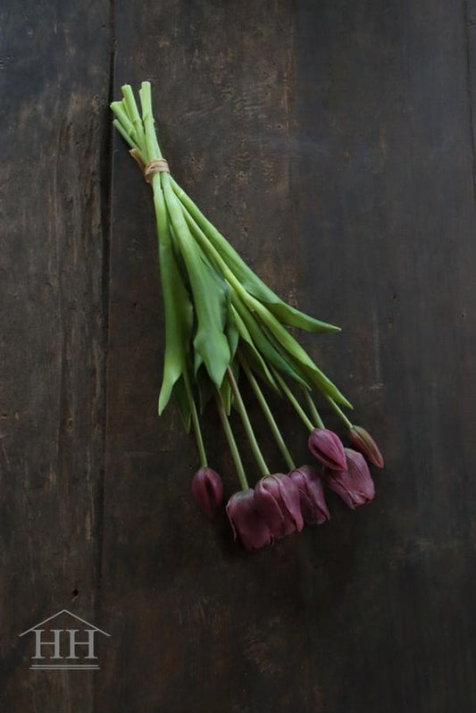 Lange tulpen 47cm paars
