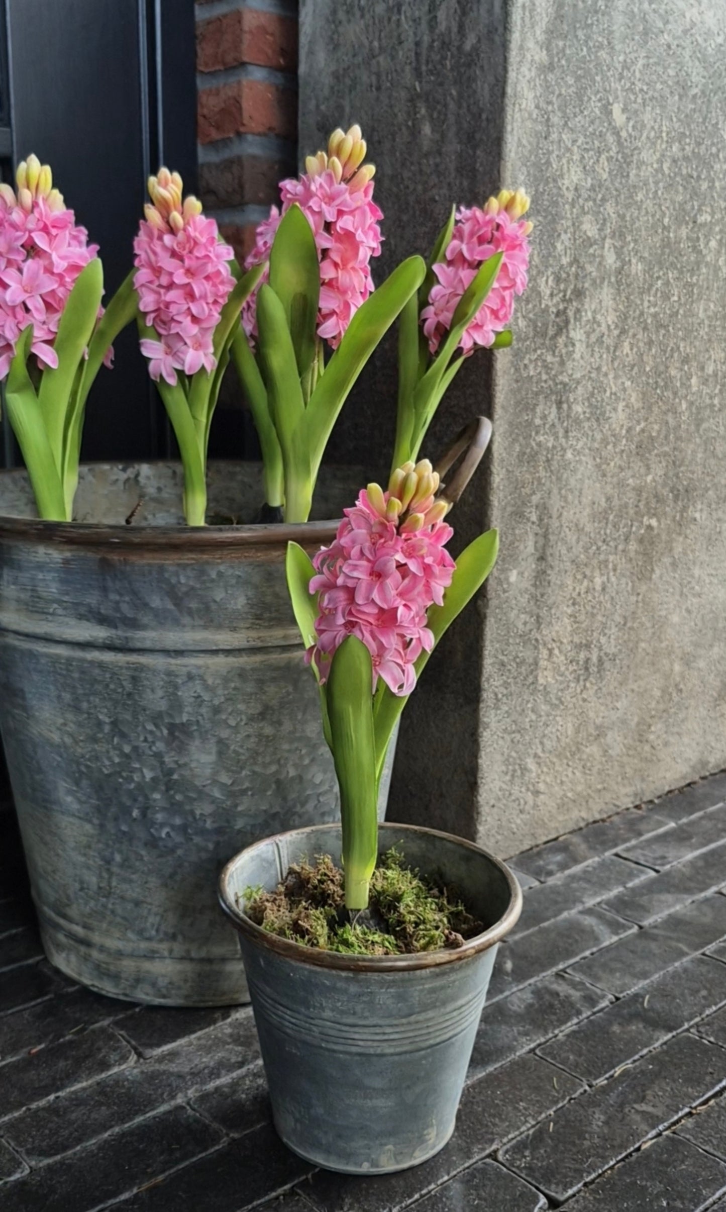 Künstliche Hyazinthe auf einer rosa Zwiebel, 30 cm – Hillary'sHome B.V