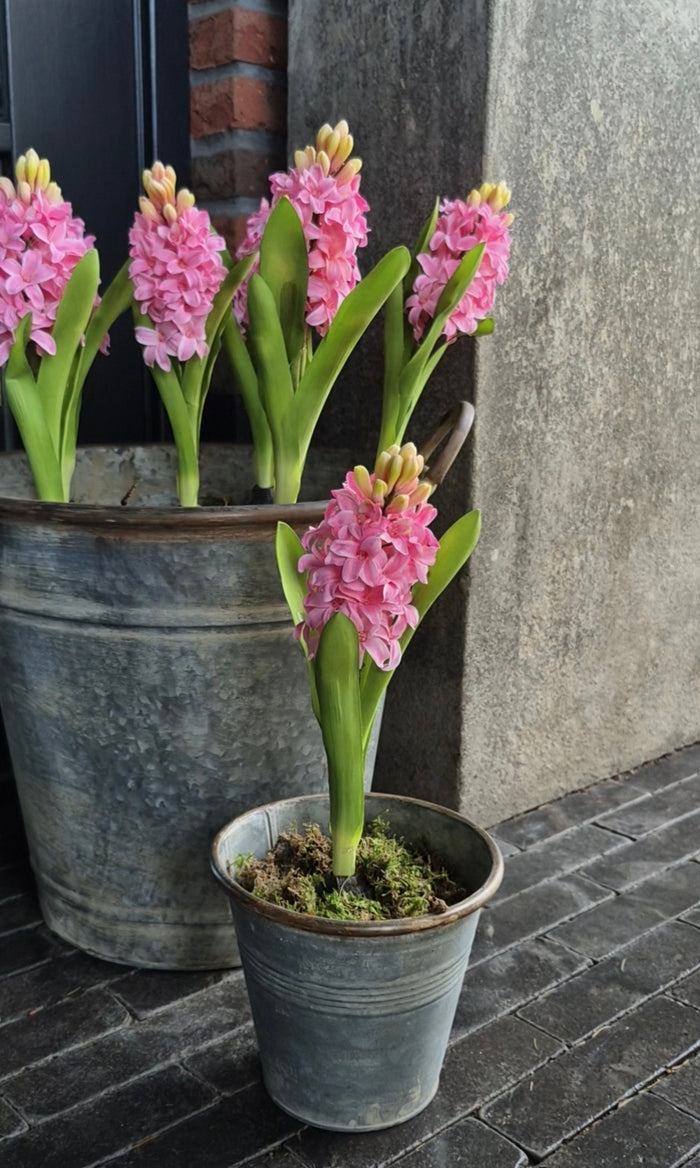 Kunst hyacint op bol roze 30cm