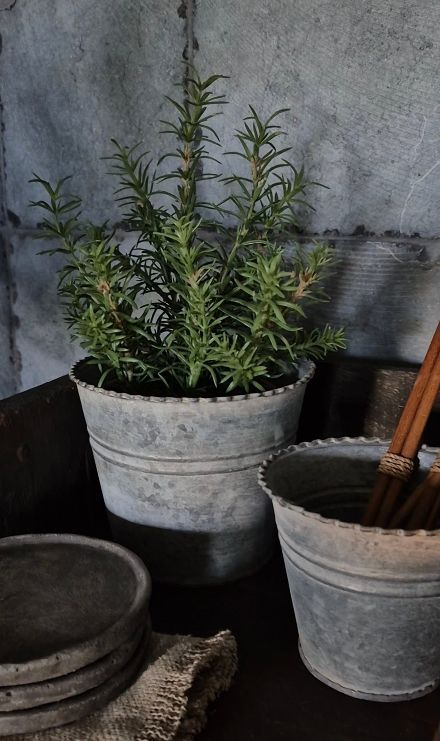 Rozemarijn kunstplant 28cm in binnenpot