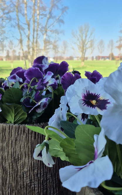 Grootbloemige kunstviool paars met wit hartje