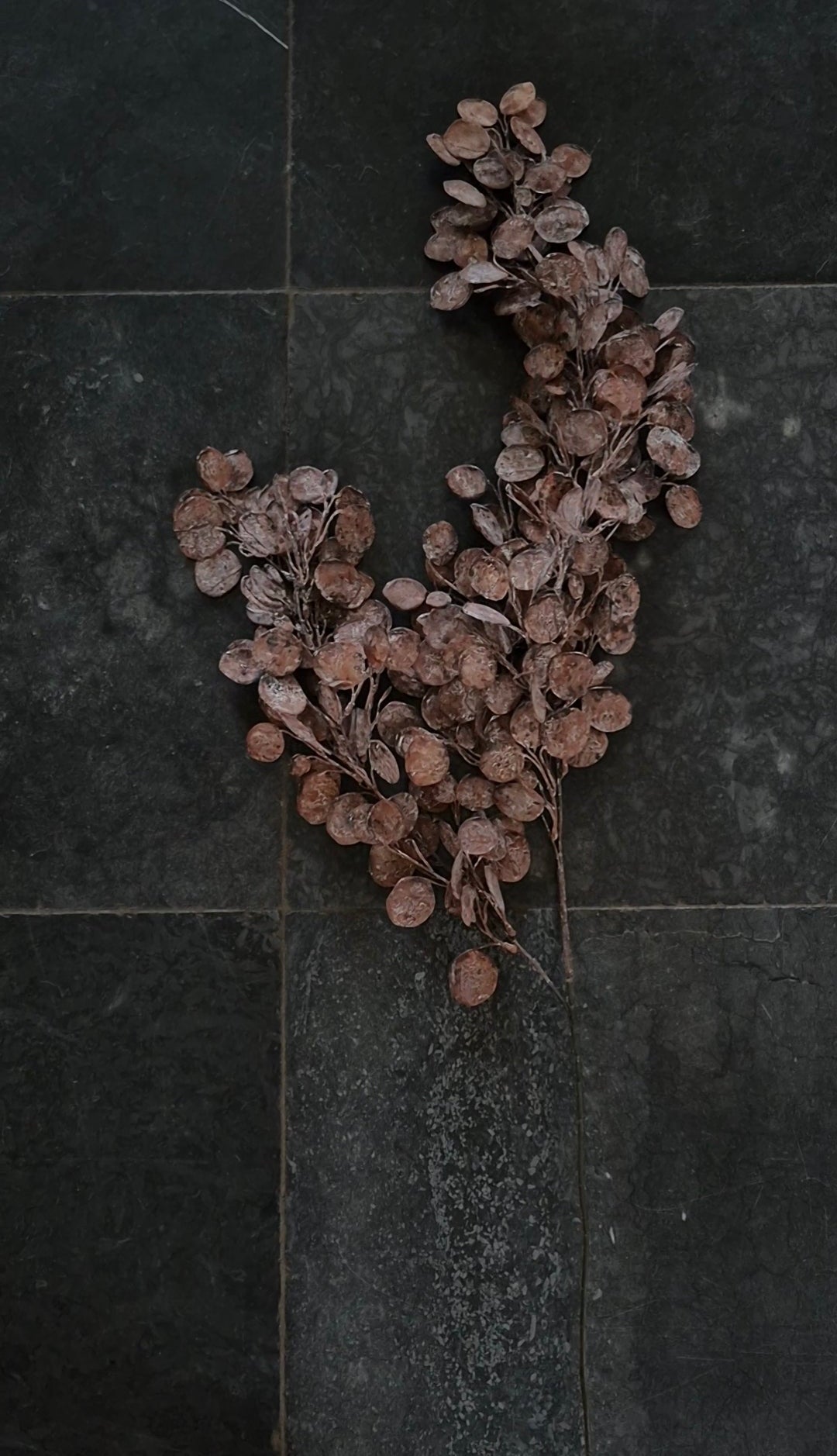 Kunstbloem Judaspenning bruin