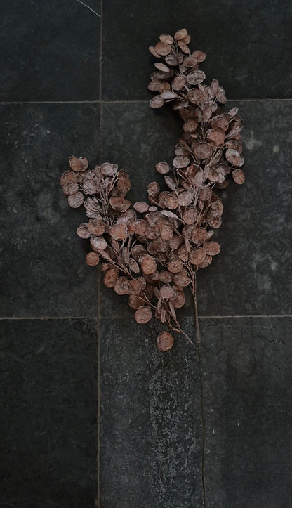 Kunstbloem Judaspenning bruin