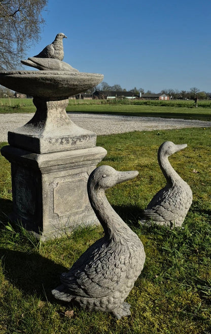 Beeld gans beton