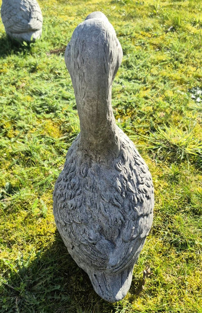 Beeld gans beton