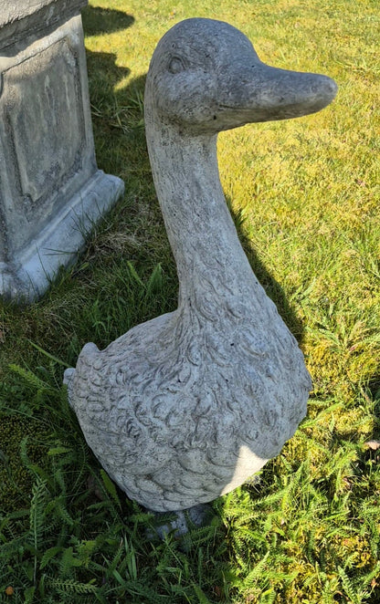 Beeld gans beton