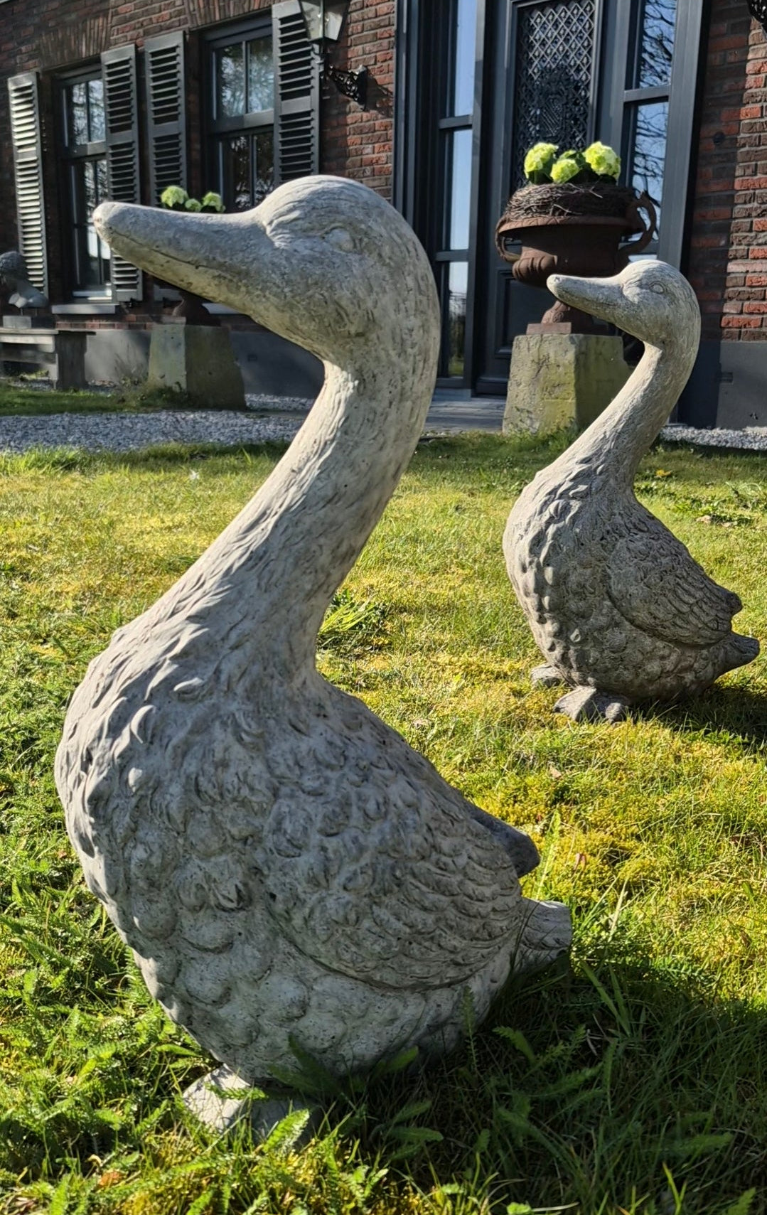 Beeld gans beton