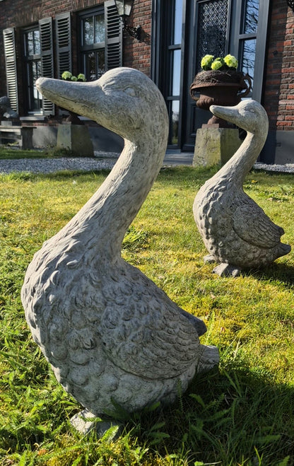 Beeld gans beton
