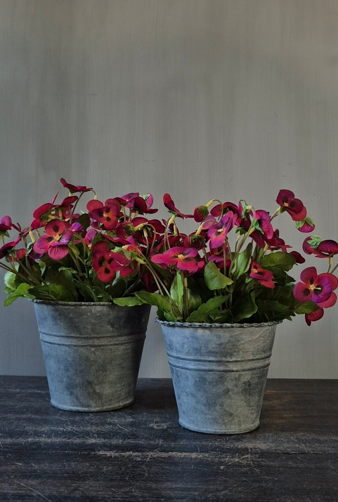 Set ronde zinken potjes met bordeaux viooltjes