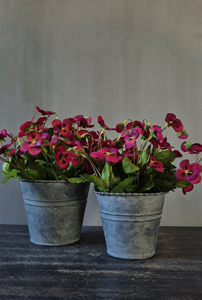 Set ronde zinken potjes met bordeaux viooltjes