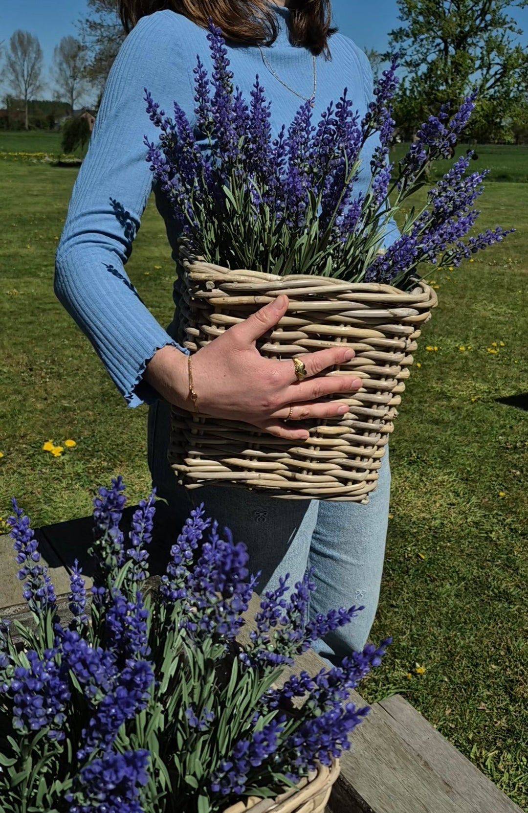 Set vierkante mand D27  H25cm met paarse lavendel